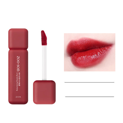 ZooSon Waterproof Lip Gloss Lipstick