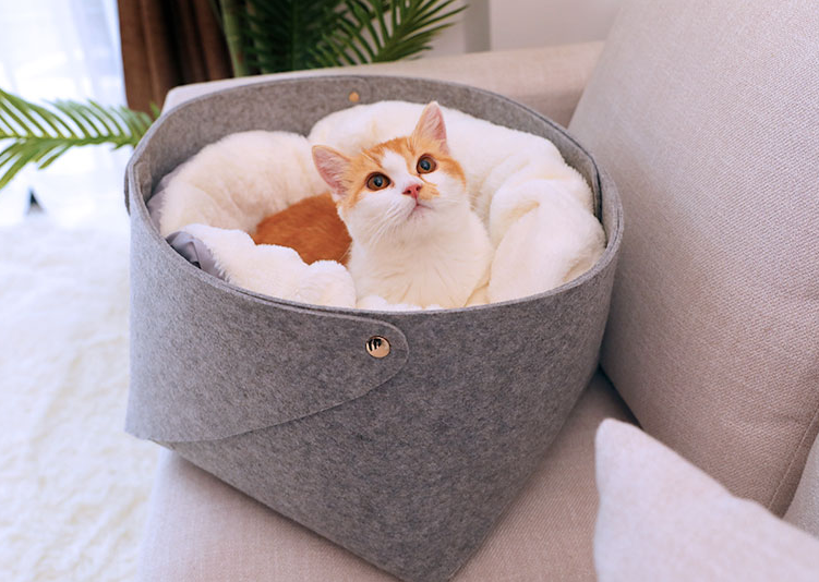 Cozy Pet Bed For Cat