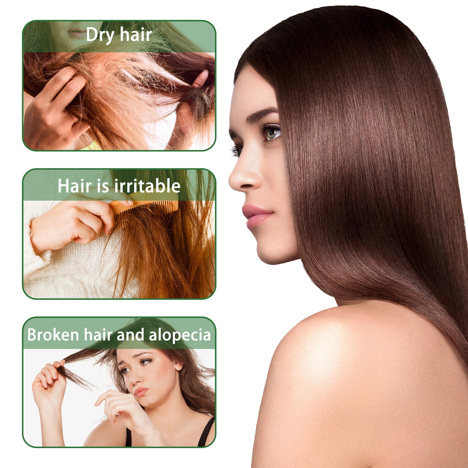 Jaysuing Rosemary Shampoo Oil Control Dryness And Rashness