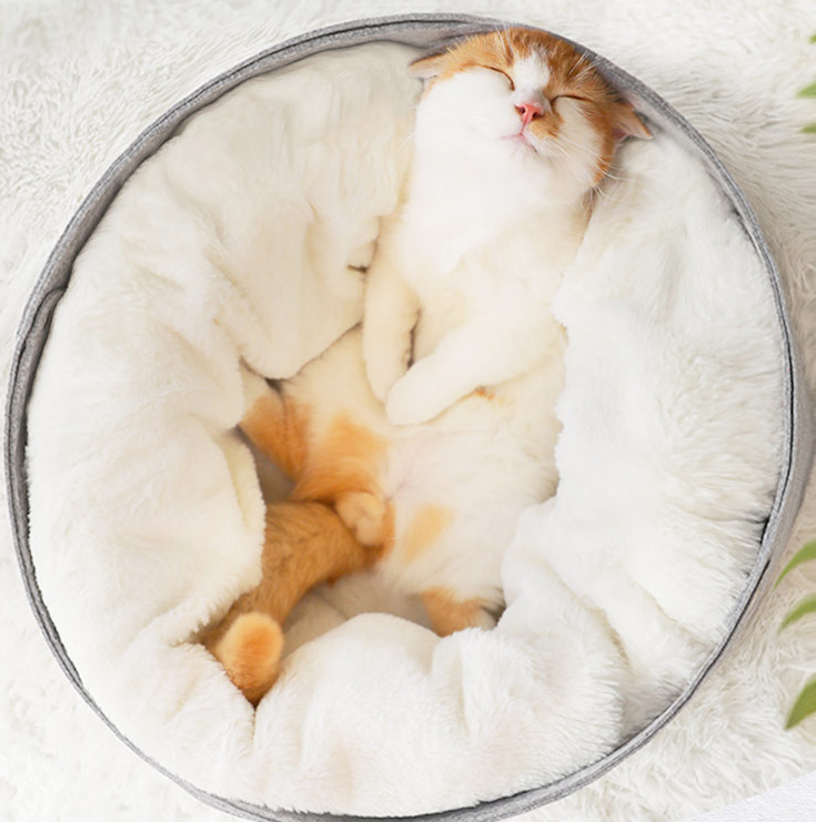 Cozy Pet Bed For Cat