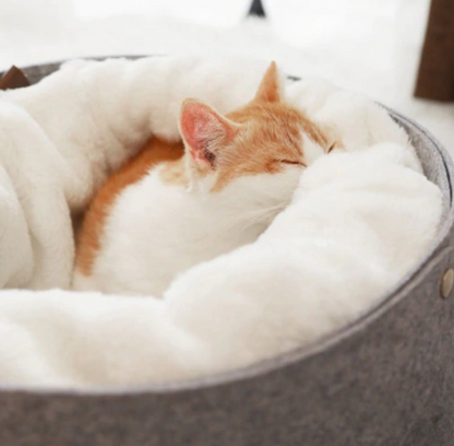 Cozy Pet Bed For Cat